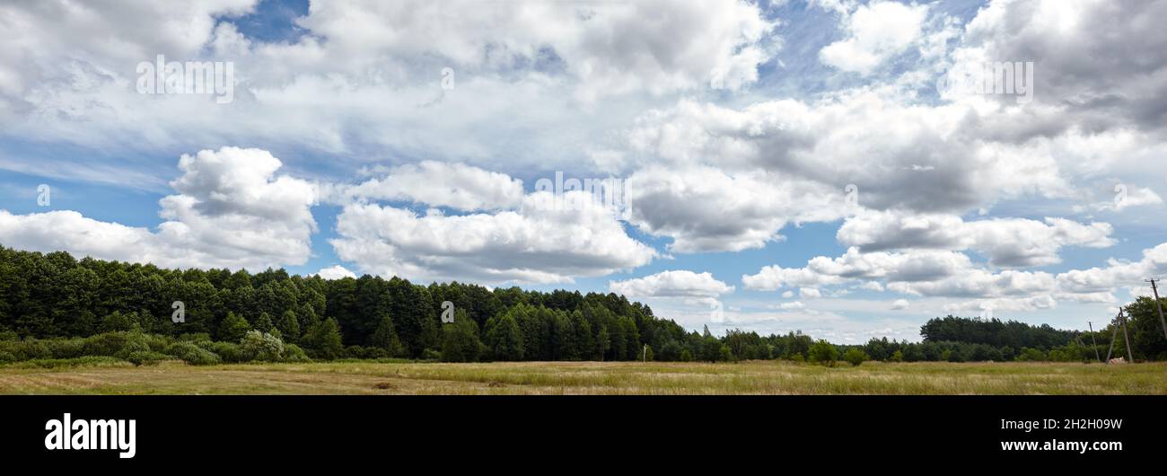 Panoramic photo of dense forest against the sky and meadows. Beautiful  landscape of a row of trees and blue sky background Stock Photo - Alamy