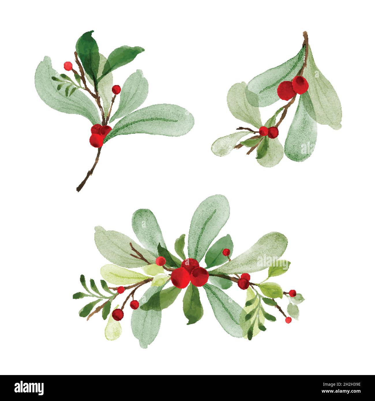 Christmas watercolor of bouquet berries and green leaves arrangings set. Hand-painted watercolor elements suitable for decorative Christmas festival, Stock Vector