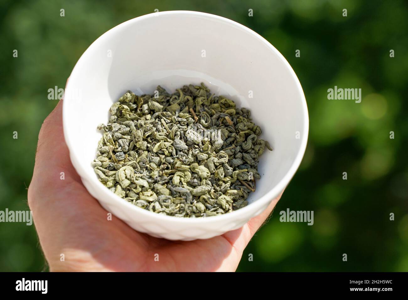 Green Chinese tea in a white bowl. Selection, types and varieties of
