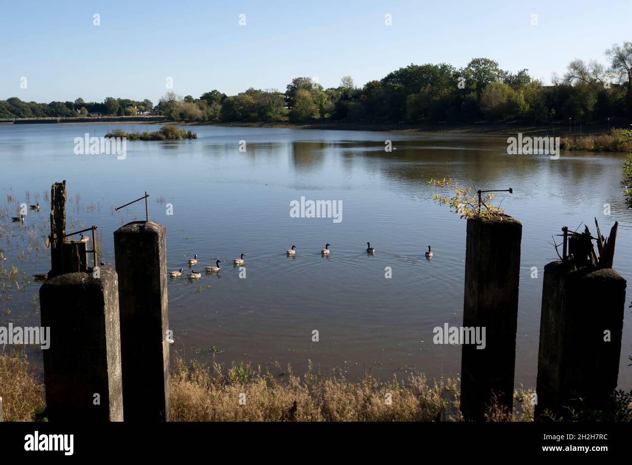 Earlswood Lakes, Warwickshire, England, UK Stock Photo