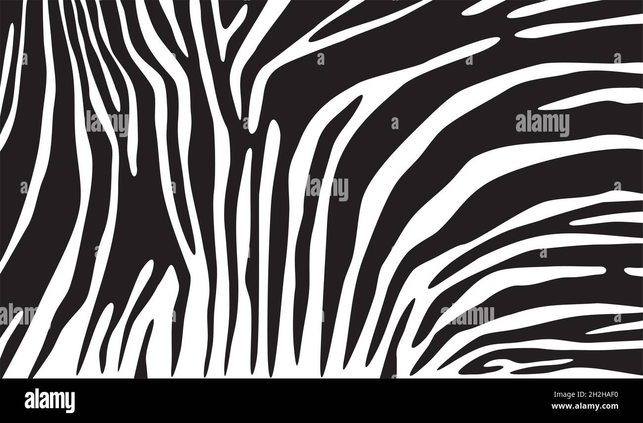 Zebra print Black and White Stock Photos & Images - Alamy