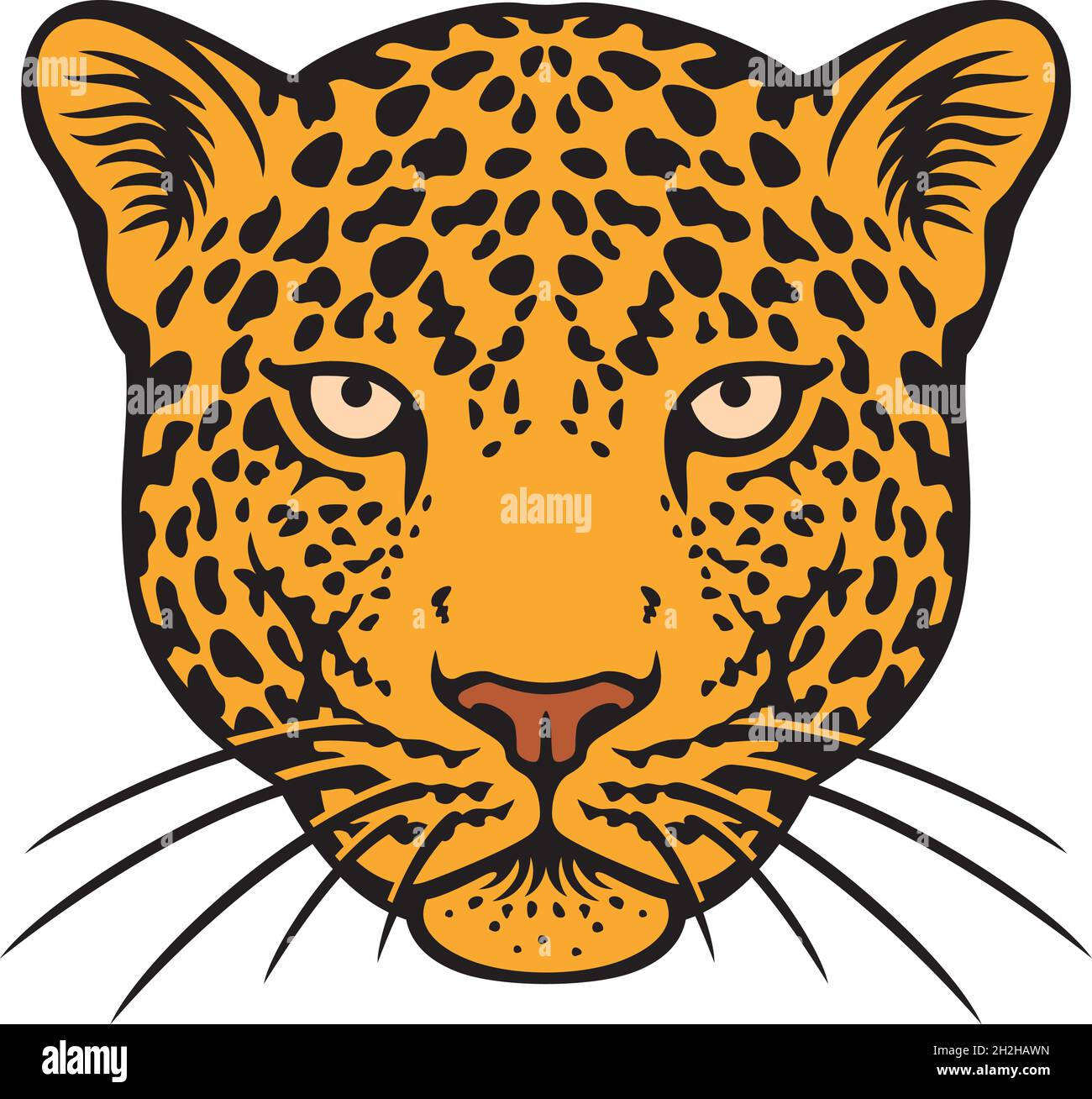 Jaguar head color vector illustration Stock Vector Image & Art - Alamy