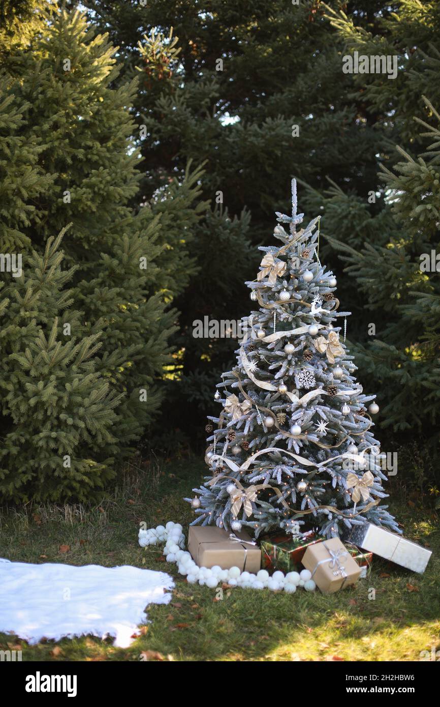 Conifer garden decorated hi-res stock photography and images - Alamy