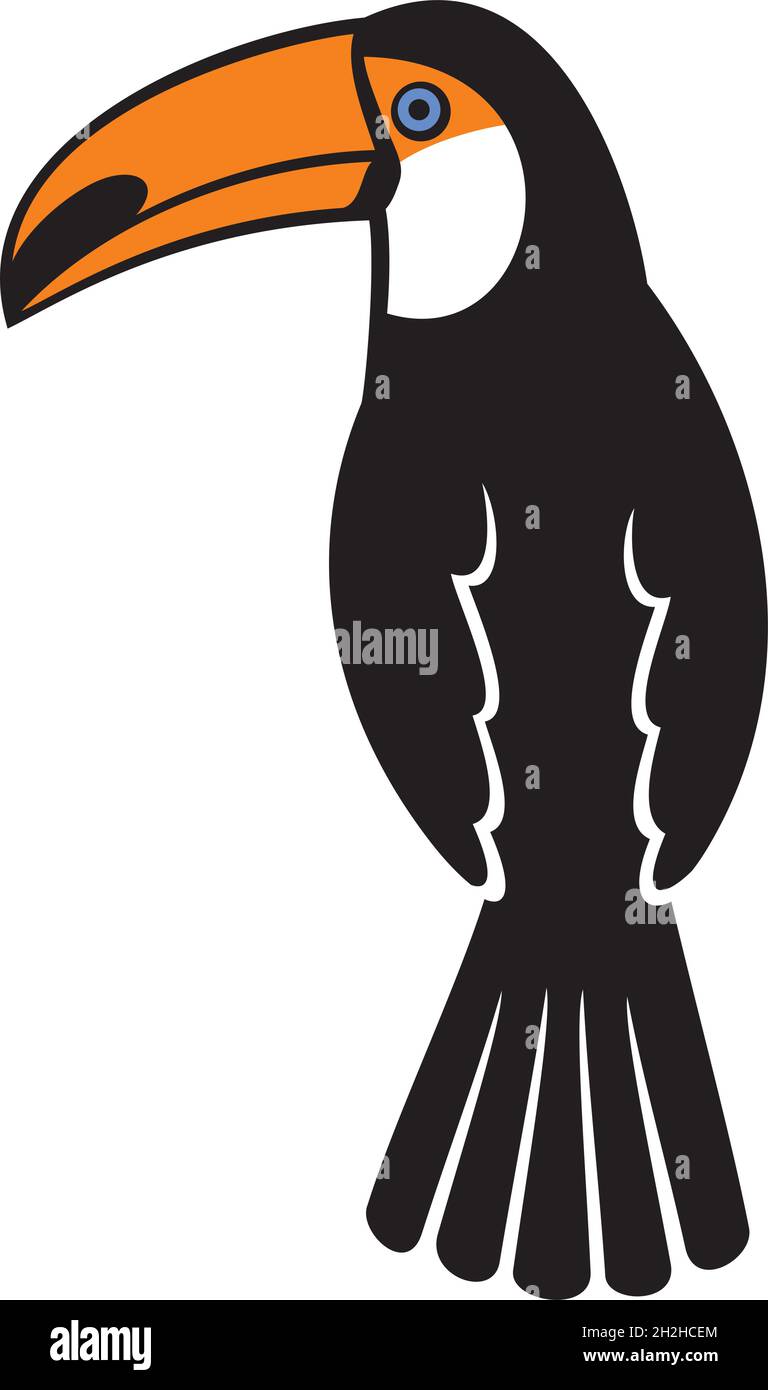 Beautiful Toucan bird color vector illustration Stock Vector