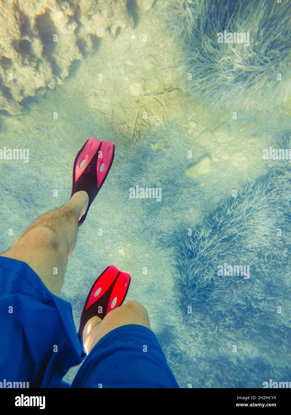 man legs in flippers underwater copy space summer vacation Stock Photo ...