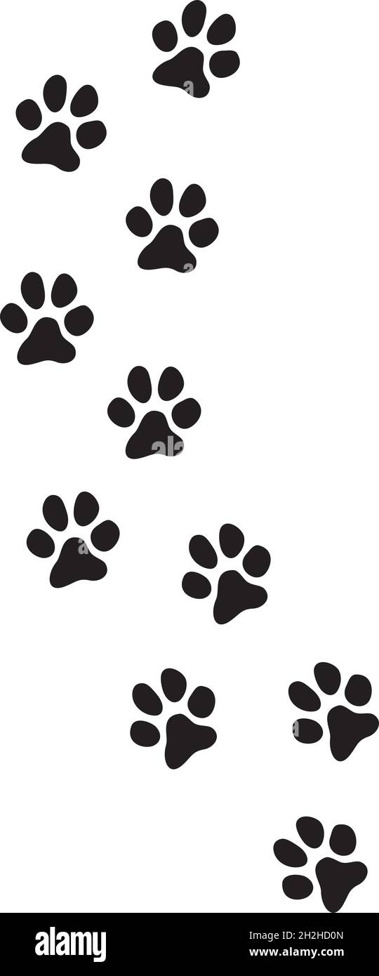 How To Take Paw Print Of Dog