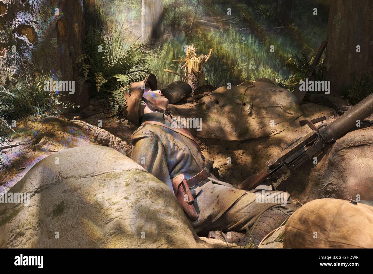 A dead soldier in a hole, trench in the Belleau Wood in France during