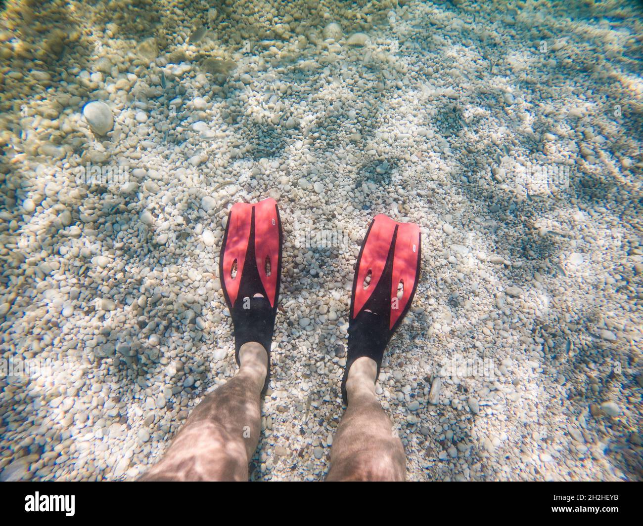 man legs in flippers underwater copy space summer vacation Stock Photo ...