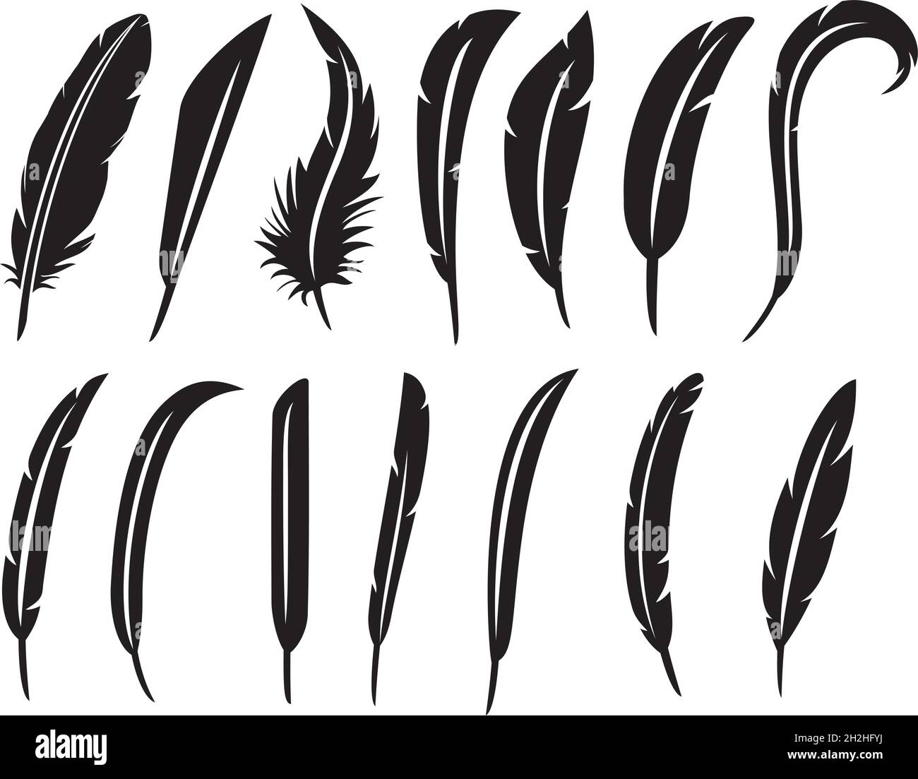 The collection of feathers vector illustration Stock Vector