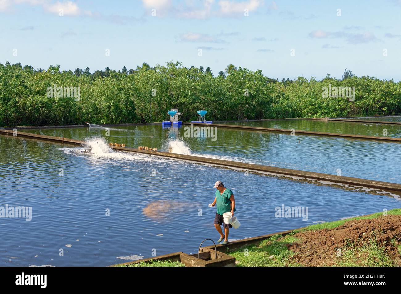 Teahupoʻo, French Polynesia aquafarming, shrimp farming Stock Photo