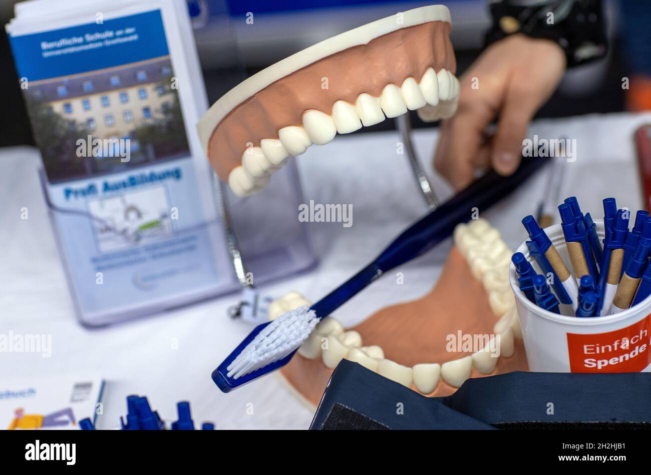 22 October 2021, Mecklenburg-Western Pomerania, Rostock: The model of a set of teeth with a toothbrush stands at an information stand for vocational training in medical fields. At the career orientation fair 'Jobfactory', more than 140 companies, institutions and associations present over 450 training positions and courses of study at the Hansemesse. Photo: Jens Büttner/dpa-Zentralbild/dpa Stock Photo