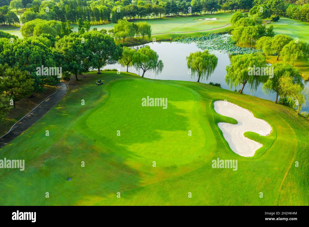 Aerial view of green grass and tree on golf course Stock Photo - Alamy