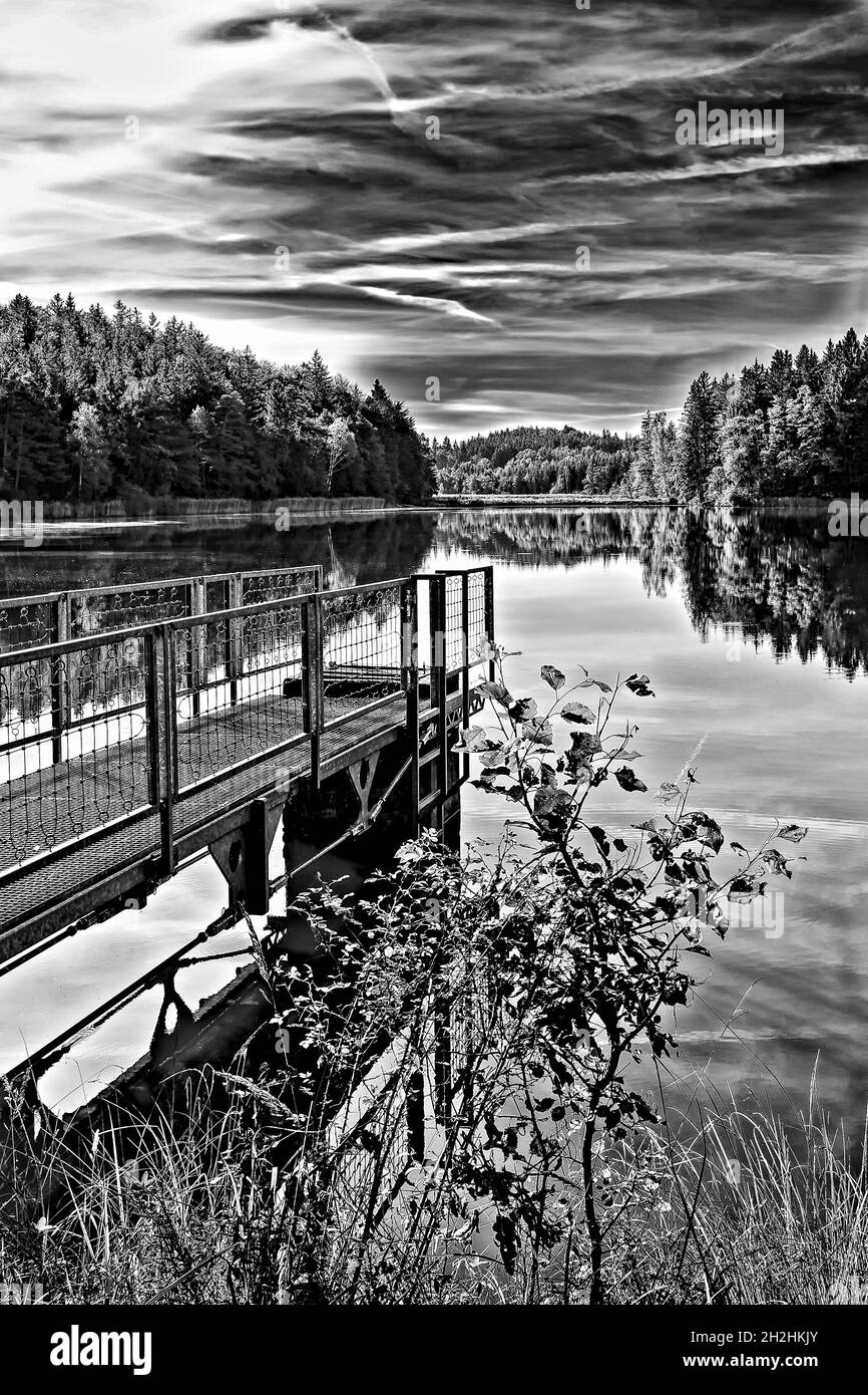 Upper Bavaria - autumnal pond in black and white  Oberbayrischer herbstlicher Tümpel  in schwarzweiß Stock Photo
