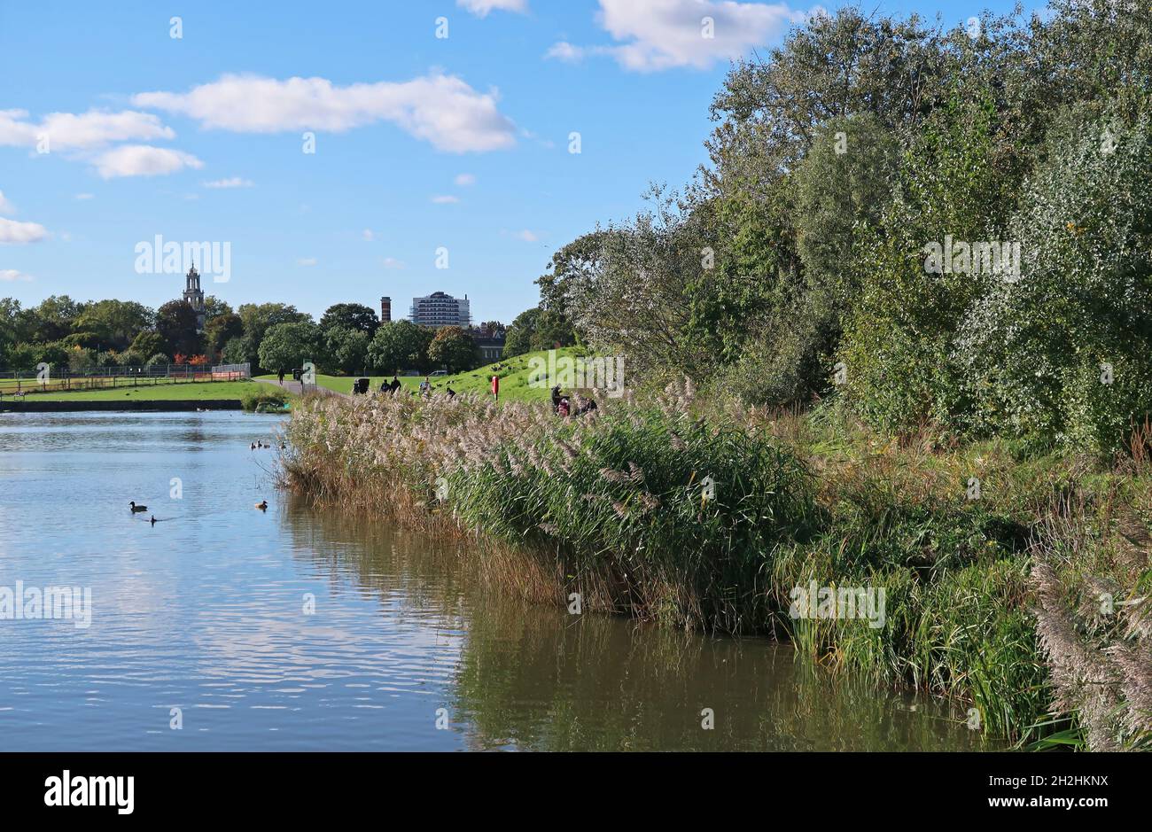 The lake in Burgess Park, a large public green space in the heart of Southwark, London, UK Stock Photo