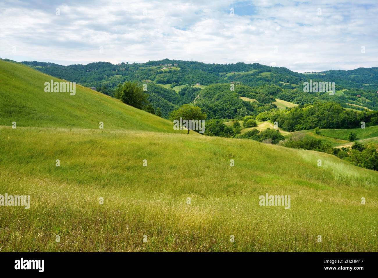 Country landscape at spring near Riolo and Canossa, Reggio Emilia ...