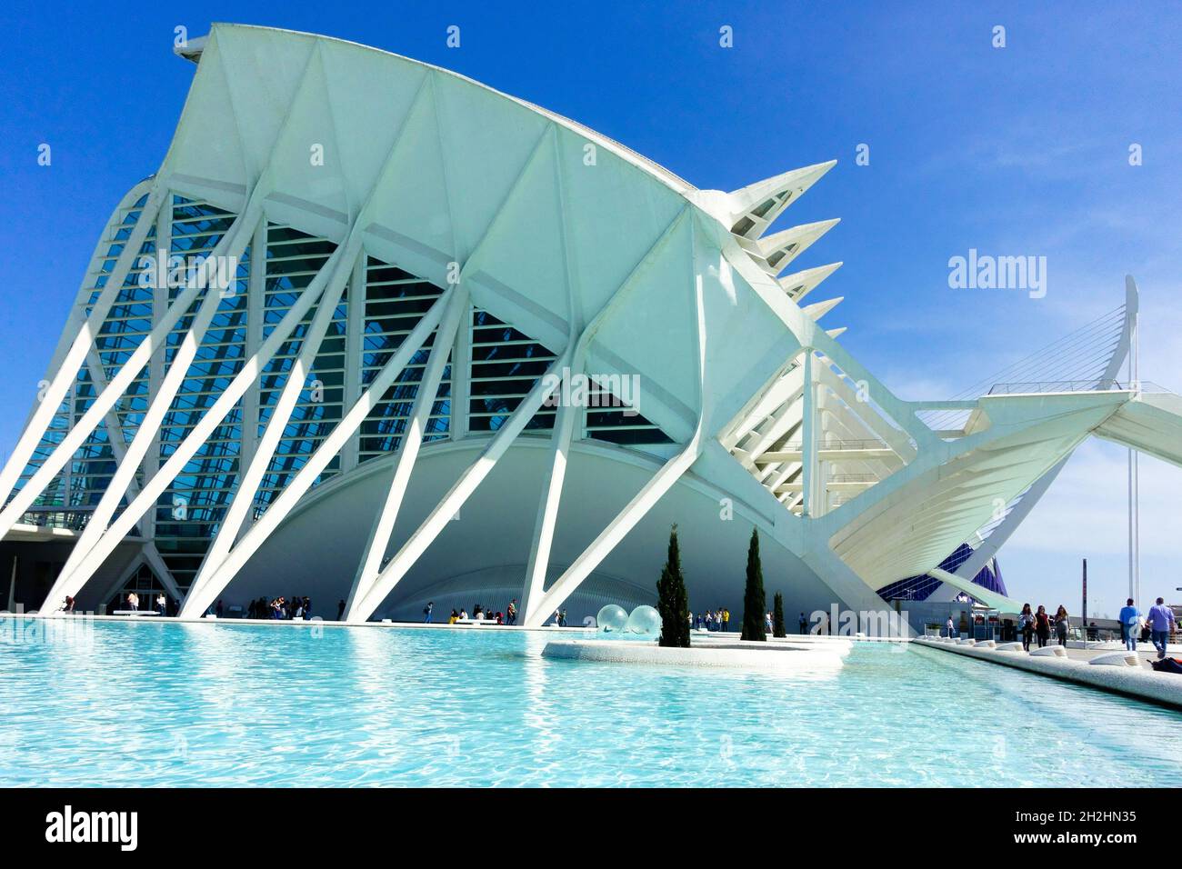Valencia City Spain modern architecture Museum building design by Calatrava Valencia City of Arts and Sciences Stock Photo