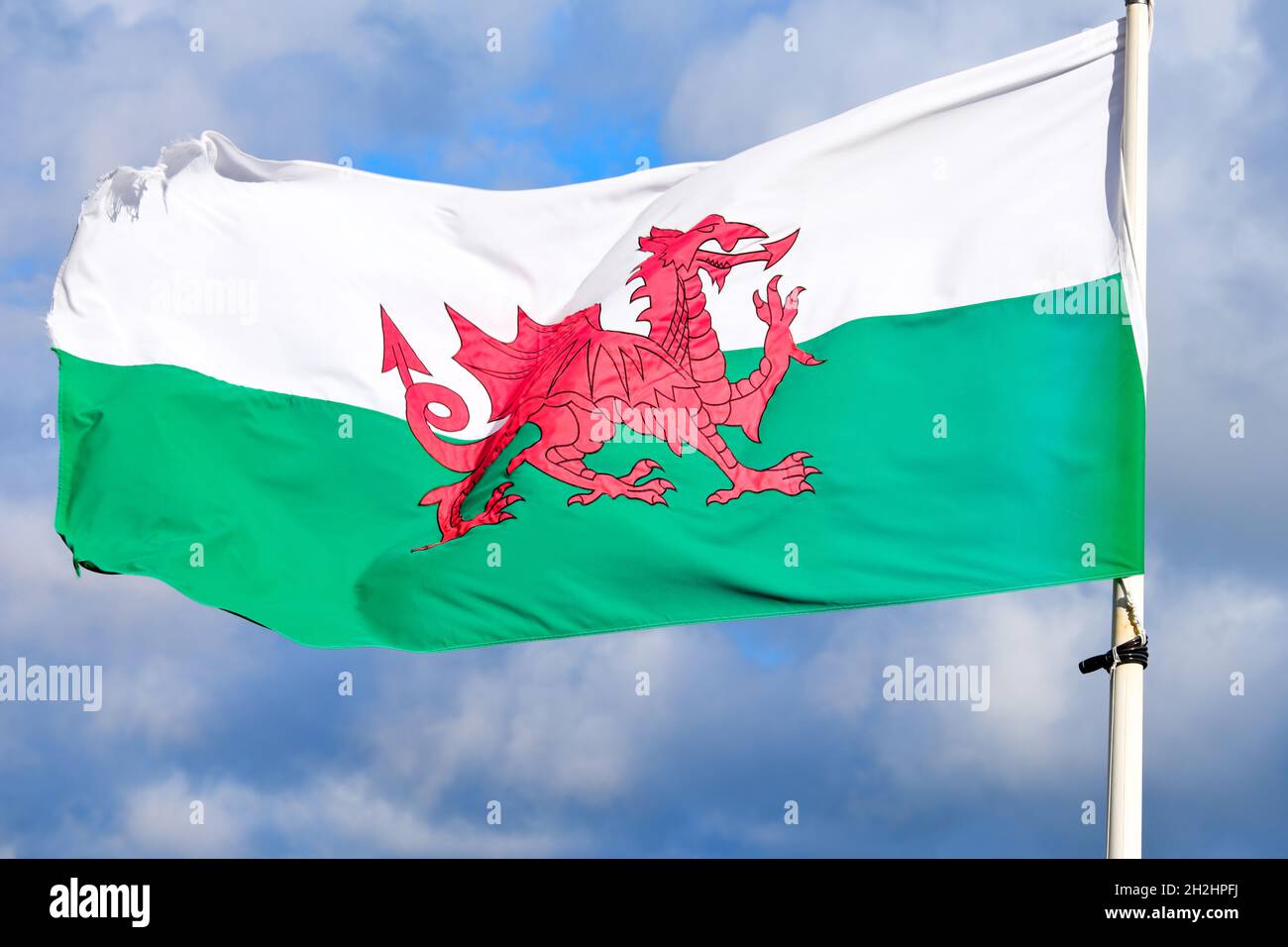 Welsh National flag flying from a flagpole in Wales in the United Kingdom Stock Photo