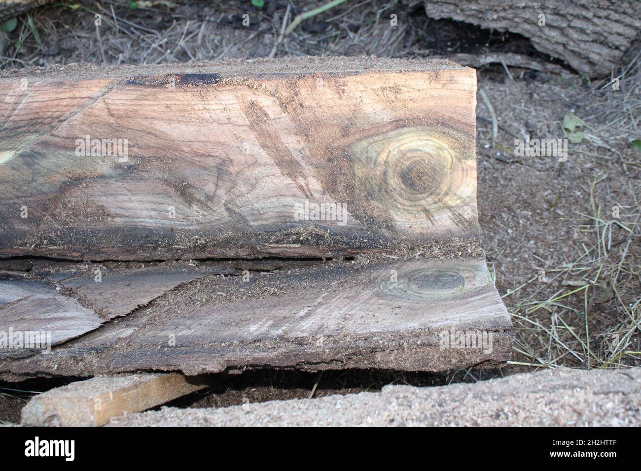 Black walnut wood hi-res stock photography and images - Alamy