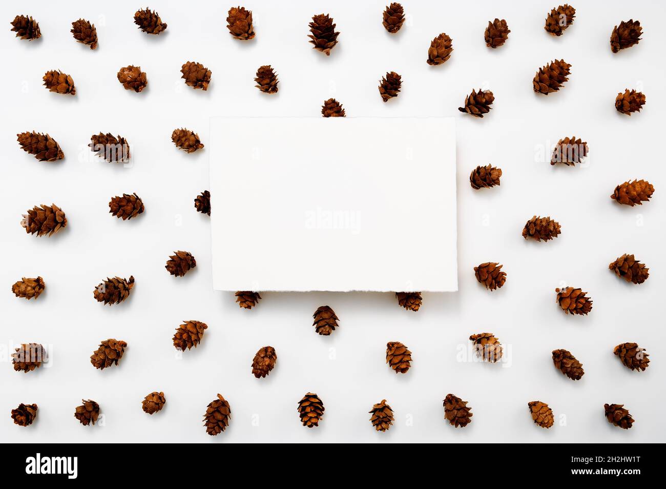 Autumn, winter or Christmas greeting card mockup. White, blank, handmade sheet of paper on a background of pine cones. Stock Photo