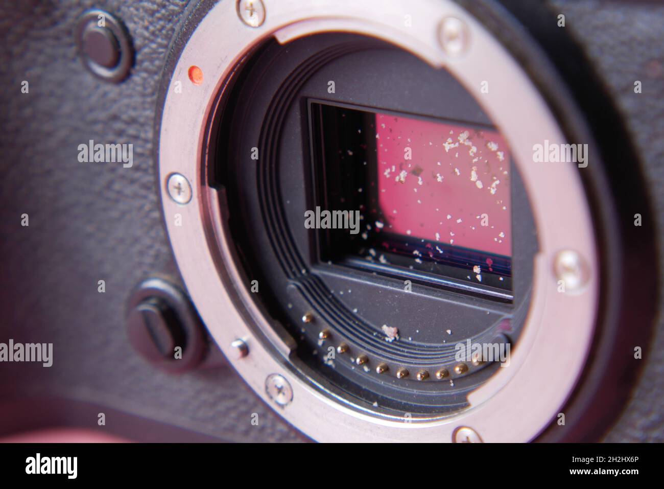 dust in a camera sensor close up Stock Photo Alamy