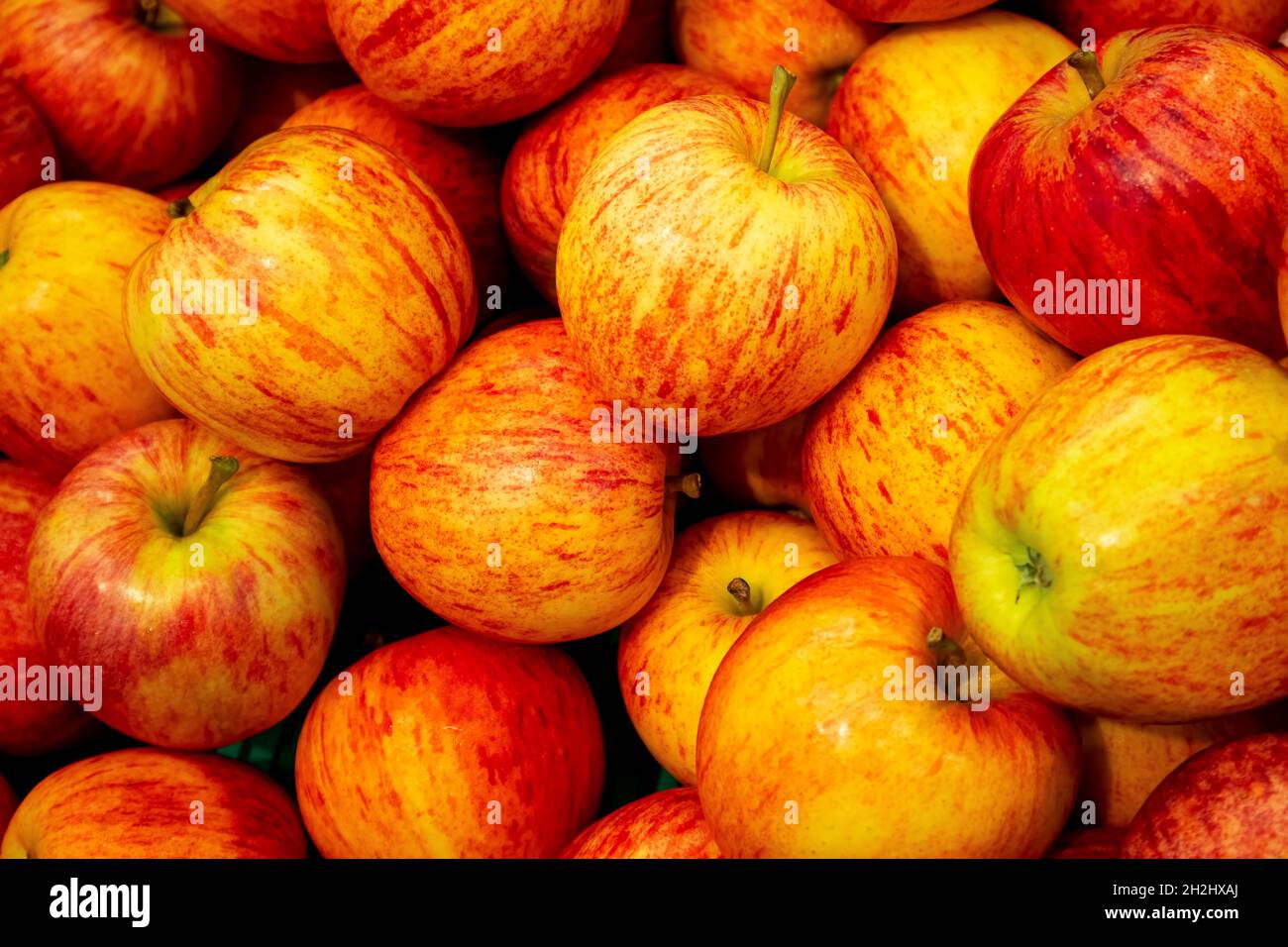 fresh red and yellow apples closeup background Stock Photo - Alamy