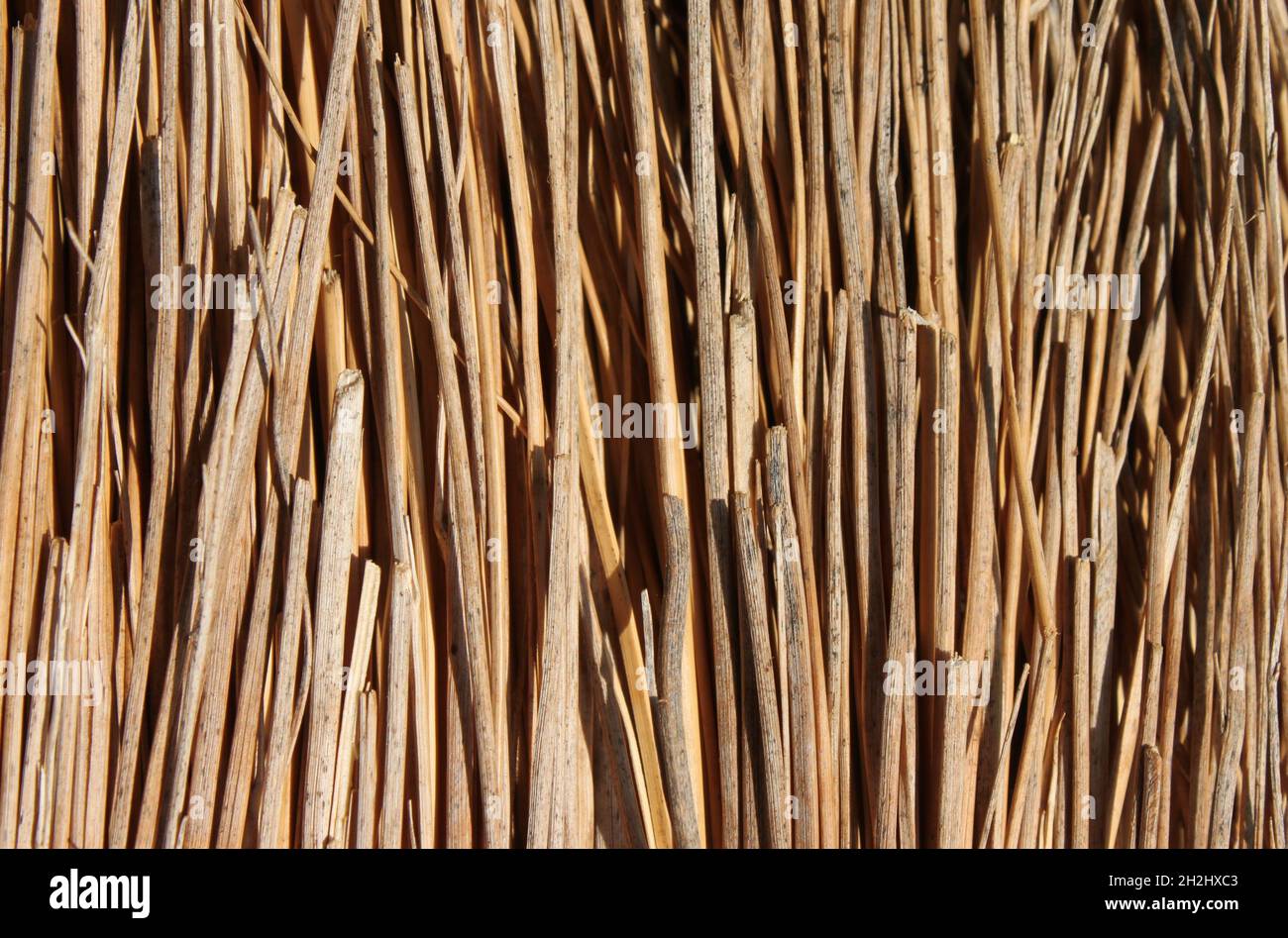 close up of a straw broom Stock Photo
