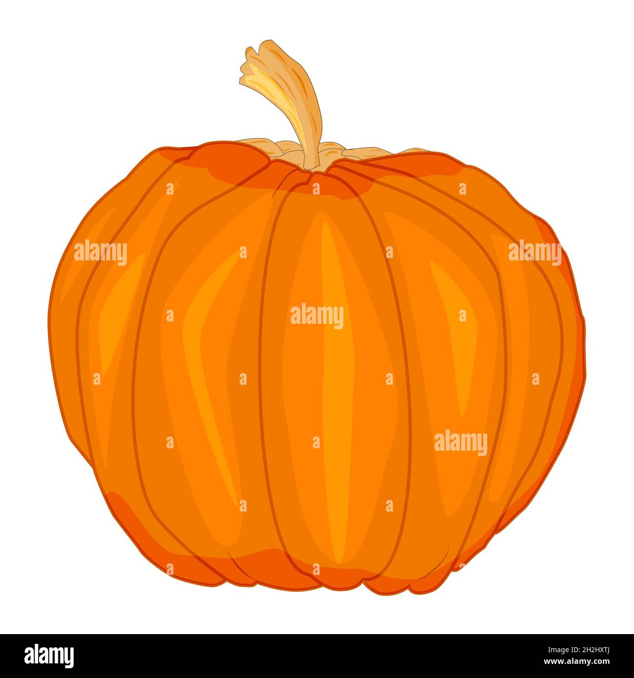Pumpkin isolated on white background. Orange squash icon. Halloween or thanksgiving day symbol. Ripe gourd for autumn harvest festival sign. Vector Stock Vector