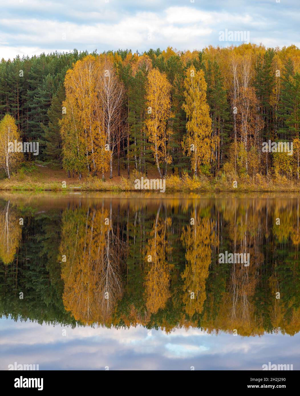 Colorful foliage tree reflections in calm pond water on autumn day ...