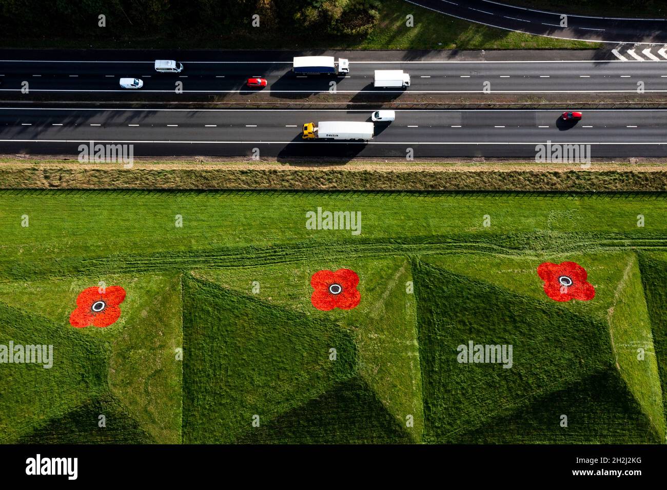 Livingston, Scotland, UK. 22nd Oct, 2021. PICTURED: Aerial images of giant red poppy flowers painted onto the grass pyramids which border alongside the M8 motorway near Livingston and Bathgate. The giant artworks appear every year to coincide with the national launch of the 2021 Poppy Scotland appeal marking the start of the remembrance period. The artworks are painted by the groundsmen from Murrayfield and Linemark UK Ltd. Credit: Colin Fisher/Alamy Live News Stock Photo