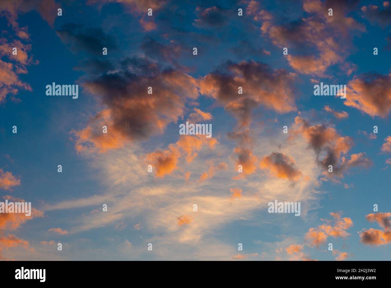 idyllic sunrise cloudscape sky with pink black and white coloured cumulus cloud formation in a pastel blue sky. Sunset or sunrise background image Stock Photo
