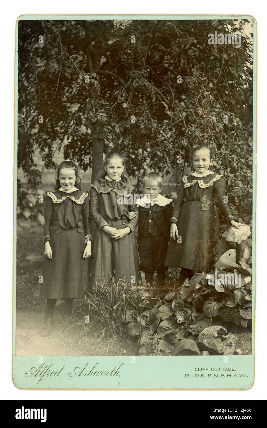 Original charming Victorian Cabinet card informal portrait of four siblings outside in a garden, the young boy wears a velvet suit with knickerbockers (short trousers) in the style of Little Lord Fauntleroy - velvet jacket with lace collar. Photo by Alfred Ashworth, Cliff Cottage,  Birkenshaw, Kirklees, Yorkshire, U.K. circa 1901 Stock Photo