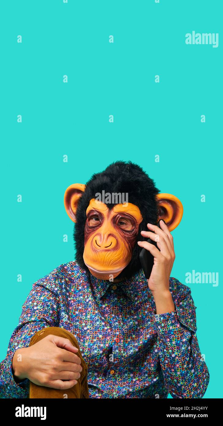 a young man wearing a monkey mask talking on the phone on a blue background, in a vertical format to use for mobile stories or as smartphone wallpaper Stock Photo