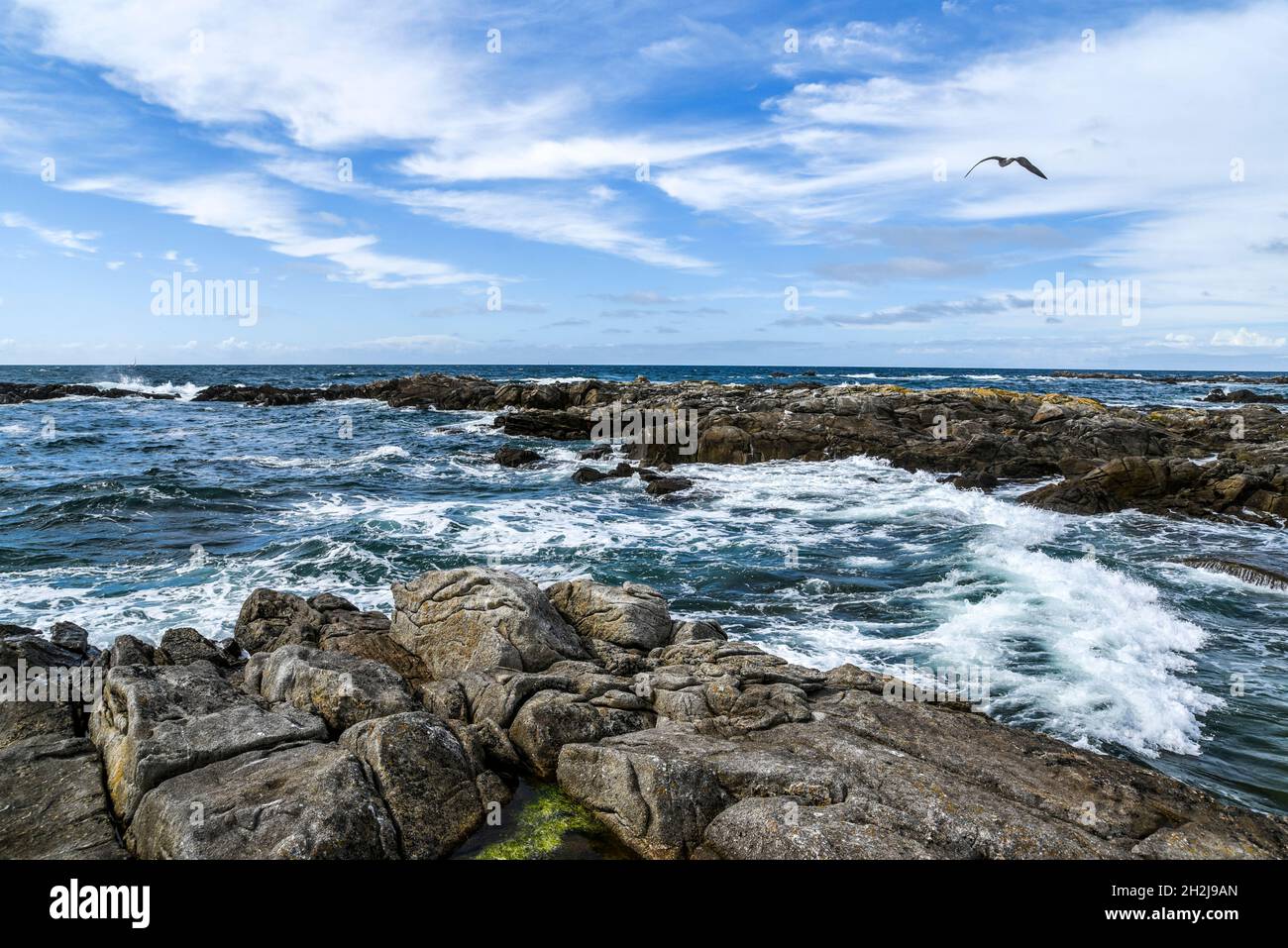 Rocky coast at the Atlantic Ocean in France landscape. Selective focus ...