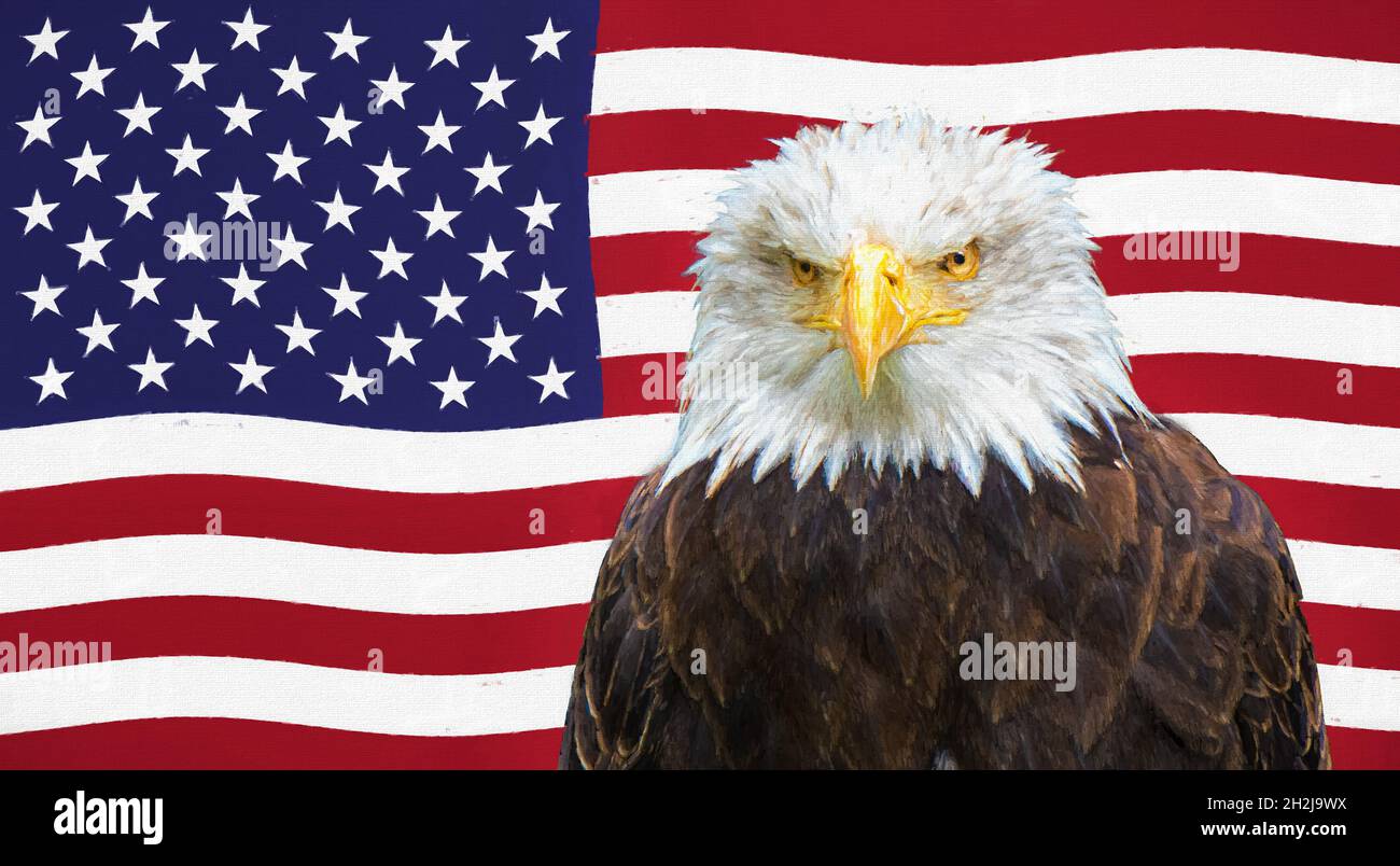 Bald eagle in front of the American flag - Digital painting Stock Photo ...