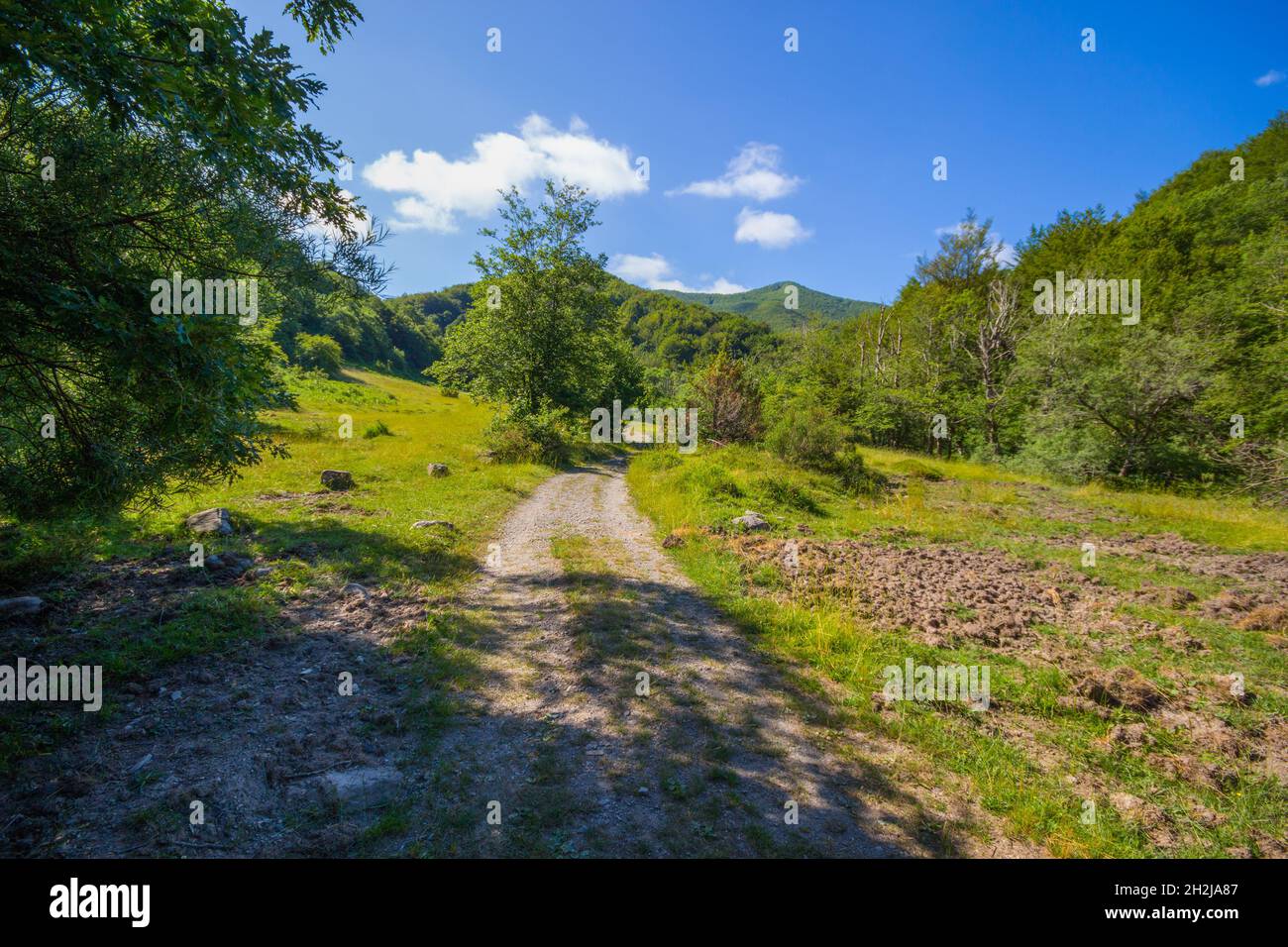 Pathway on the Ramaceto Mount trail near the village of Ventarola, Genoa province, Italy Stock Photo