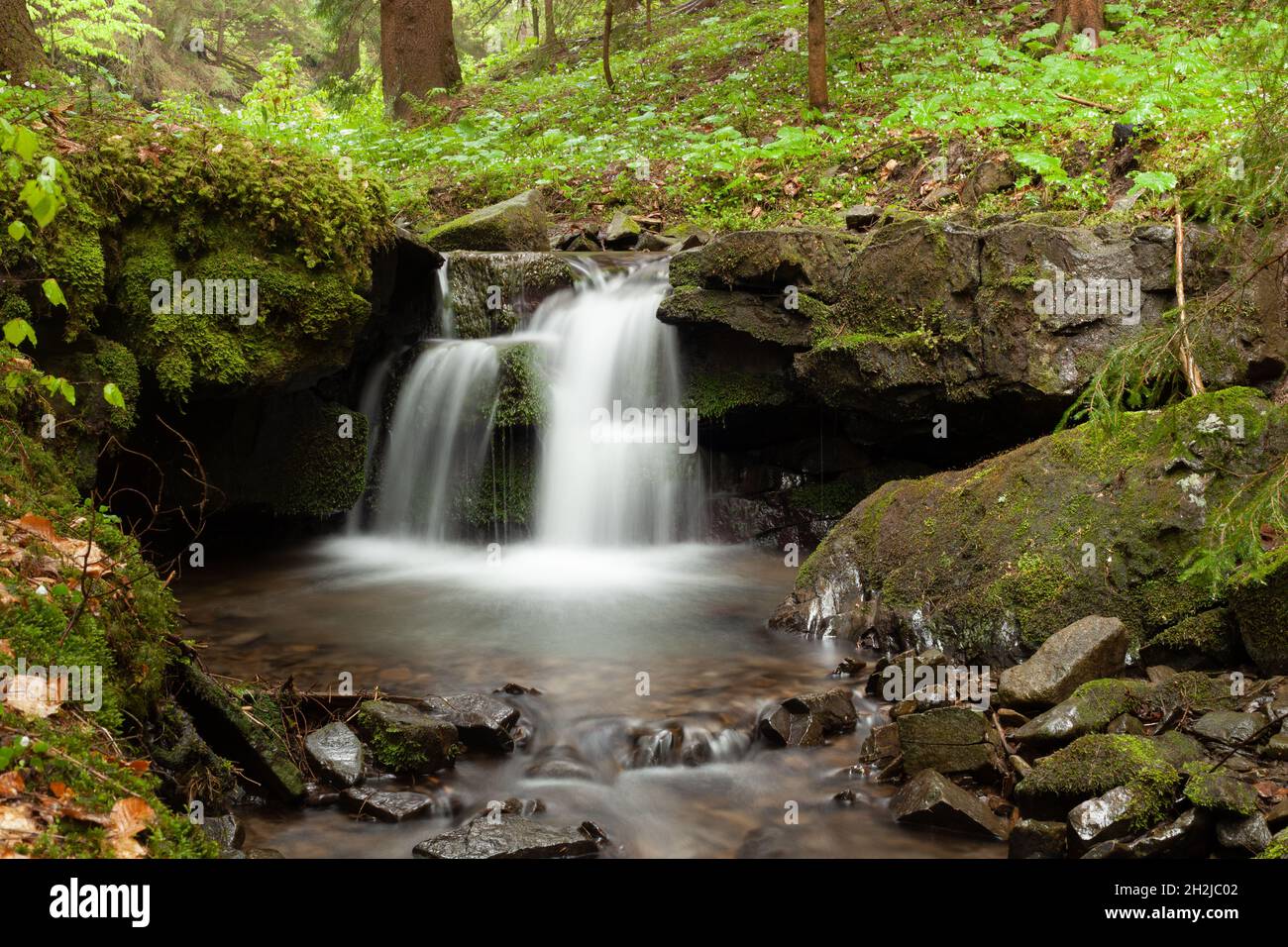 Small waterfall on a stream in the woods Stock Photo - Alamy