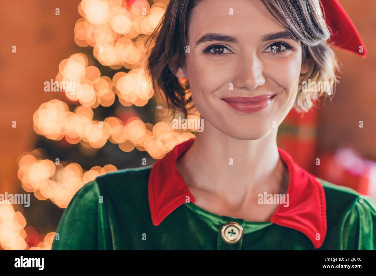 Photo of sweet shiny young woman dressed green costume smiling celebrating new year indoors room home house Stock Photo