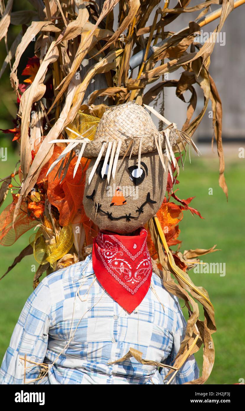 A scarecrow at the Taylor Bray farm in Yarmouth Port, Massachusetts, USA during a fall festival Stock Photo