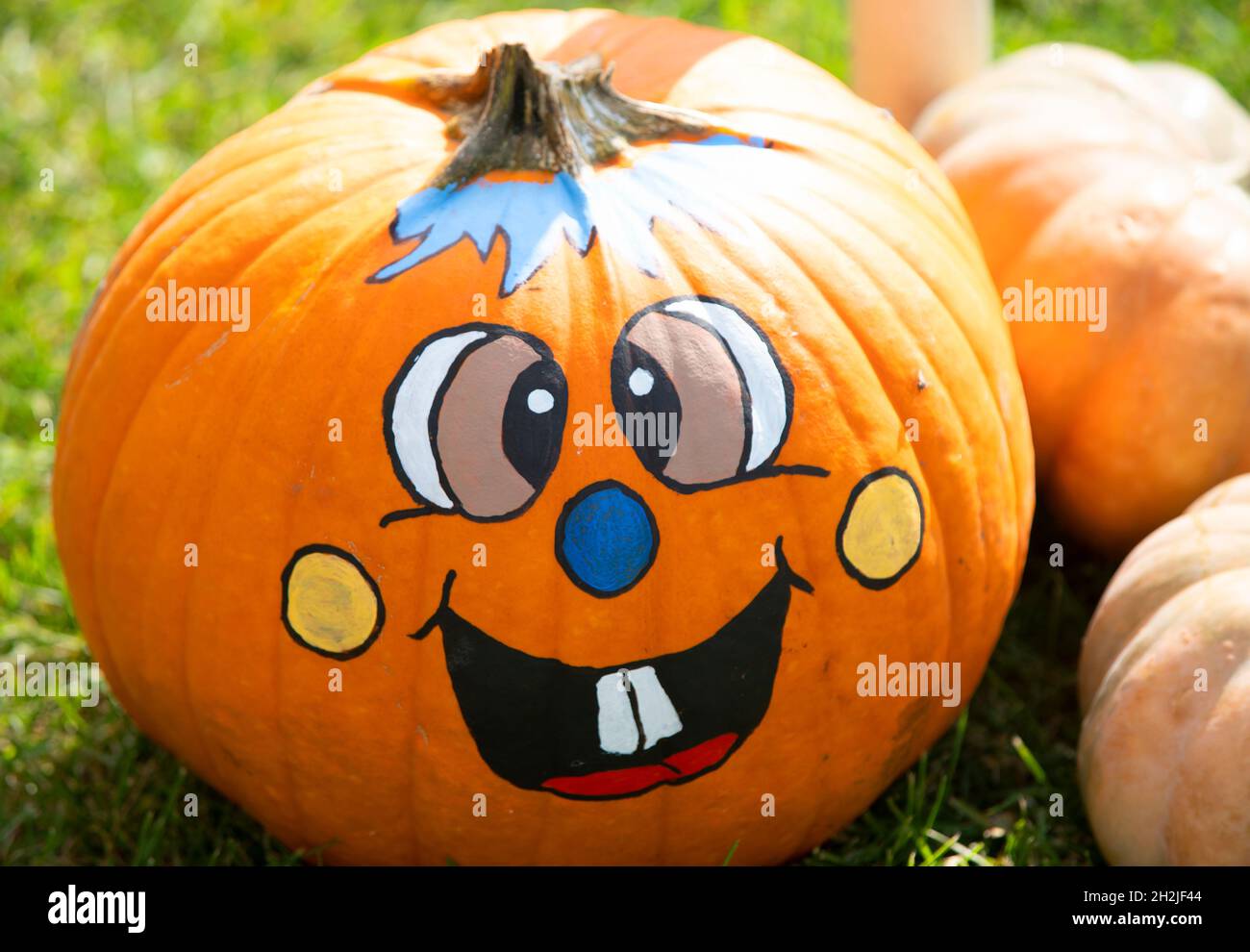 A decorated pumpkin at the Taylor Bray Farm fall festival in Yarmouth Port, Massachusetts, USA Stock Photo