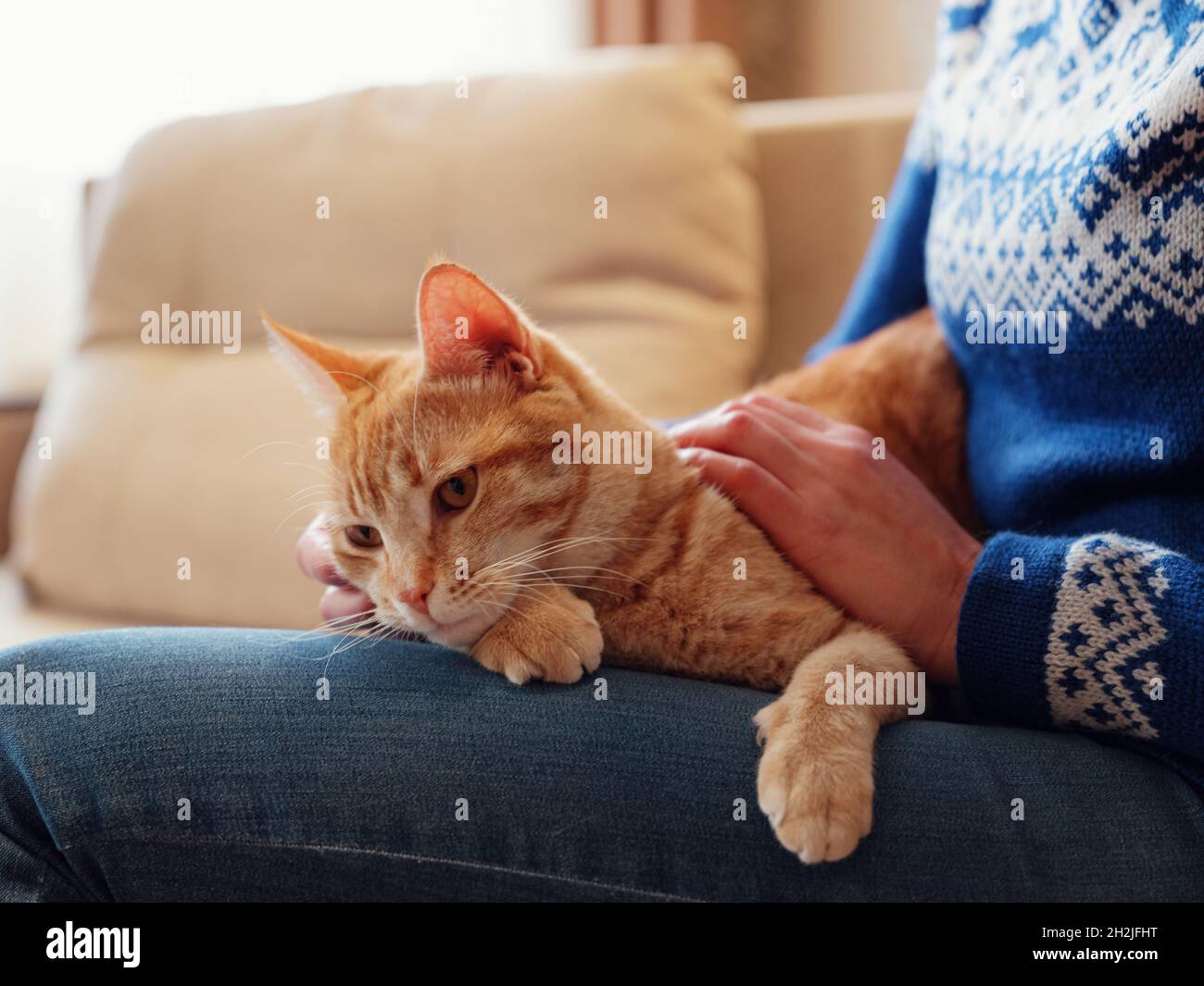 lifestyle cat sweater