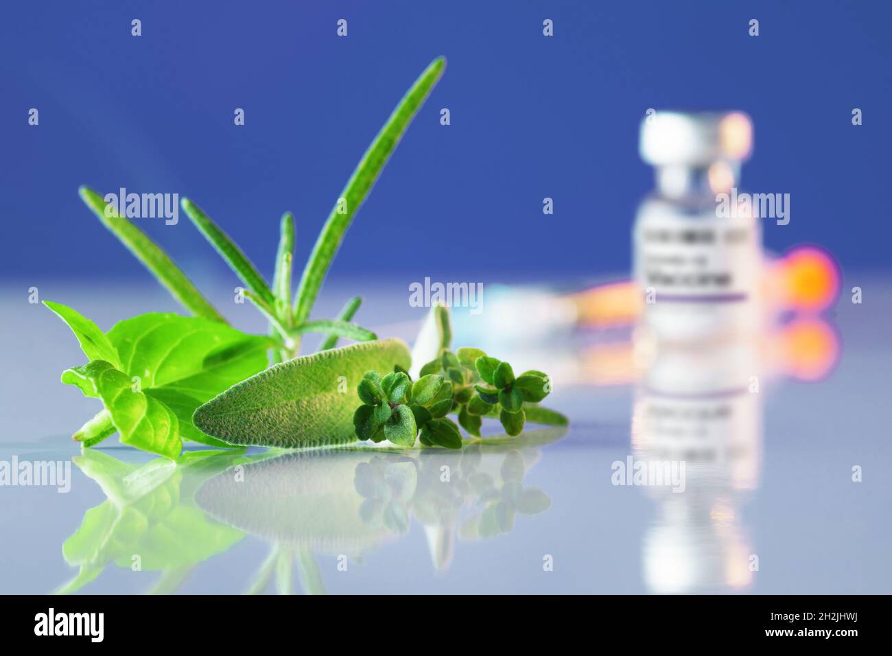Close-up of herbs as an alternative medicine, COVID-19 vaccine vial and syringe in background. Alternative medicine, vaccination, Covid-19, pharmaceut Stock Photo