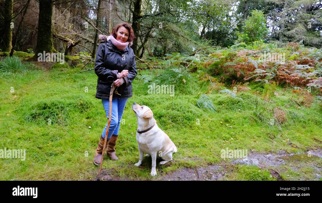 Mature woman outdoors with her yellow labrador - John Gollop Stock Photo
