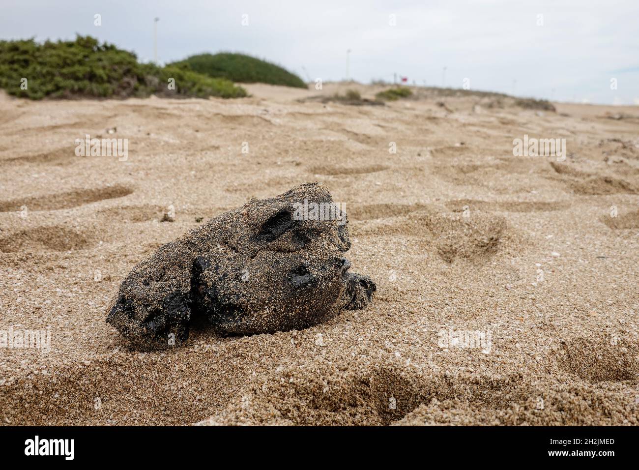 A block of black tar on the beach. Residue from hydrocarbon processing. There is a huge ecological problem in the Mediterranean sea. Stock Photo