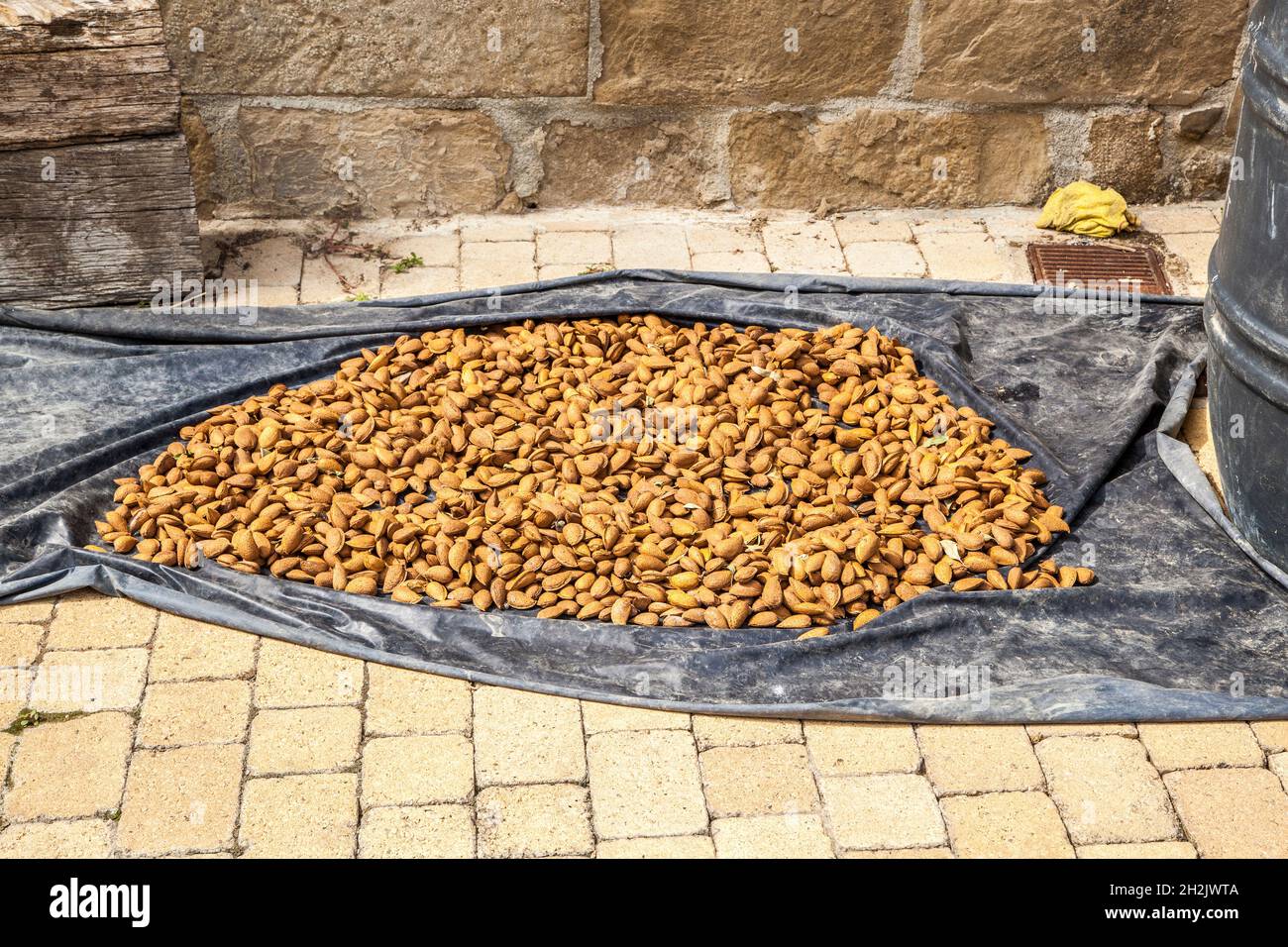 Almonds nuts laid out on the floor to ripen in the Spanish sunshine