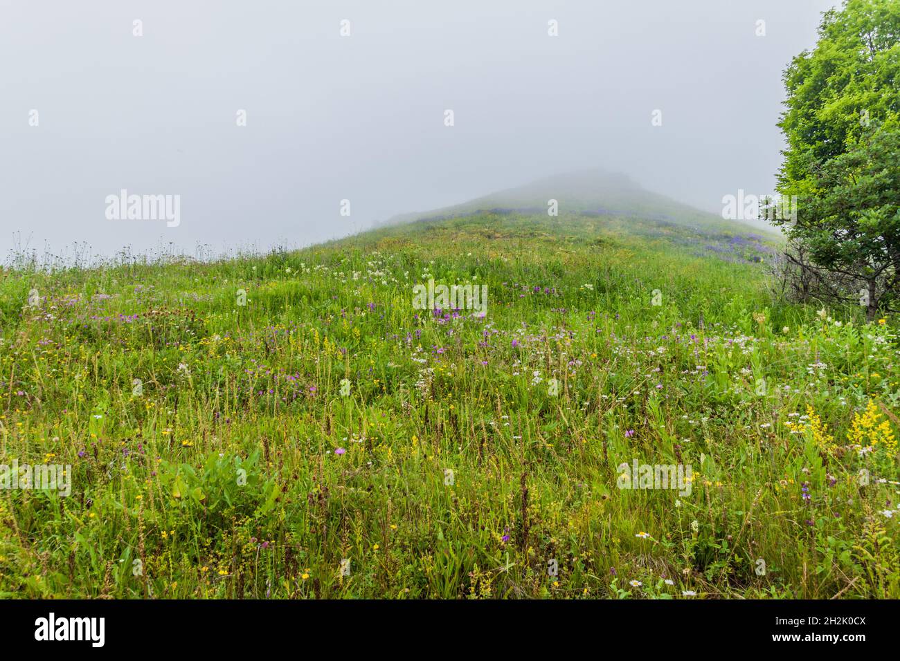 Landscape of Dilijan National Park in Armenia Stock Photo - Alamy
