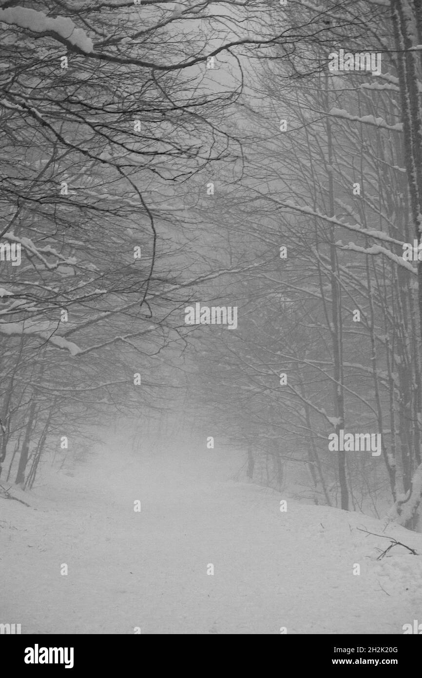 Beautiful winter landscape little Black and White Stock Photos & Images ...