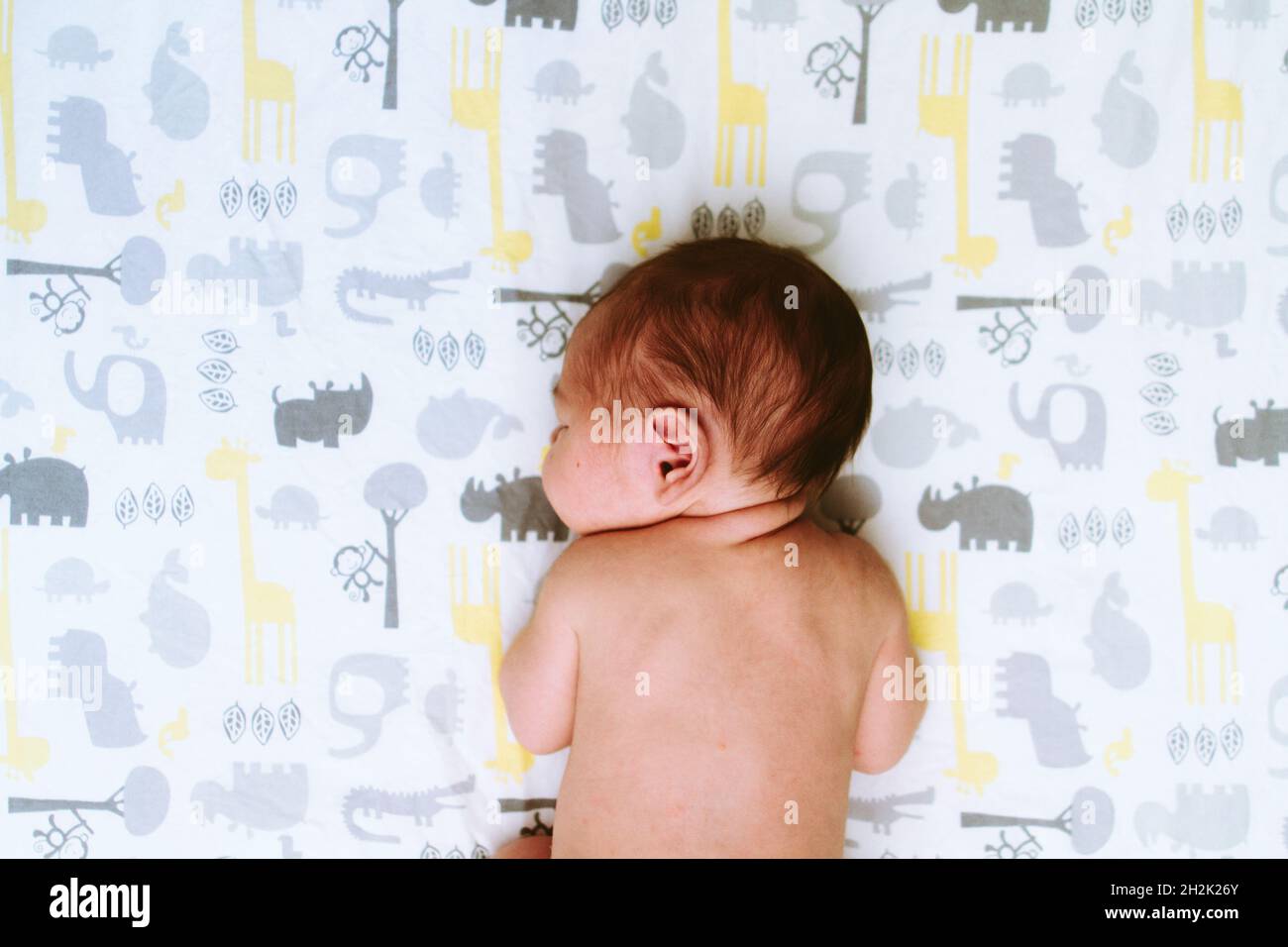 Closeup view from above of a baby sleeping on animal print sheets stock