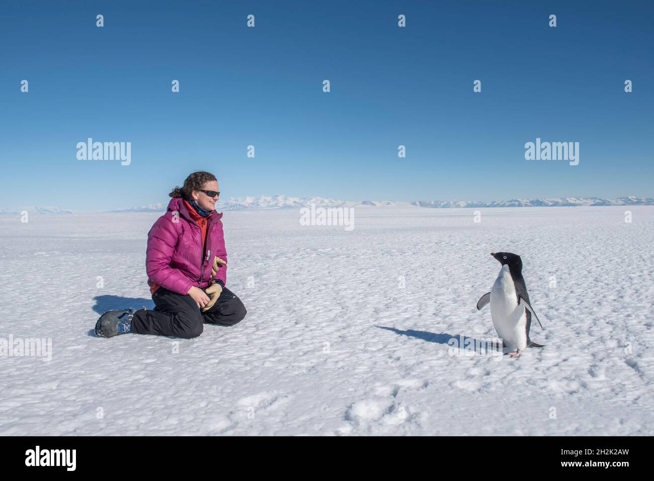 A woman has a close encounter with an Adelie Penguin in Antarctica. Stock Photo