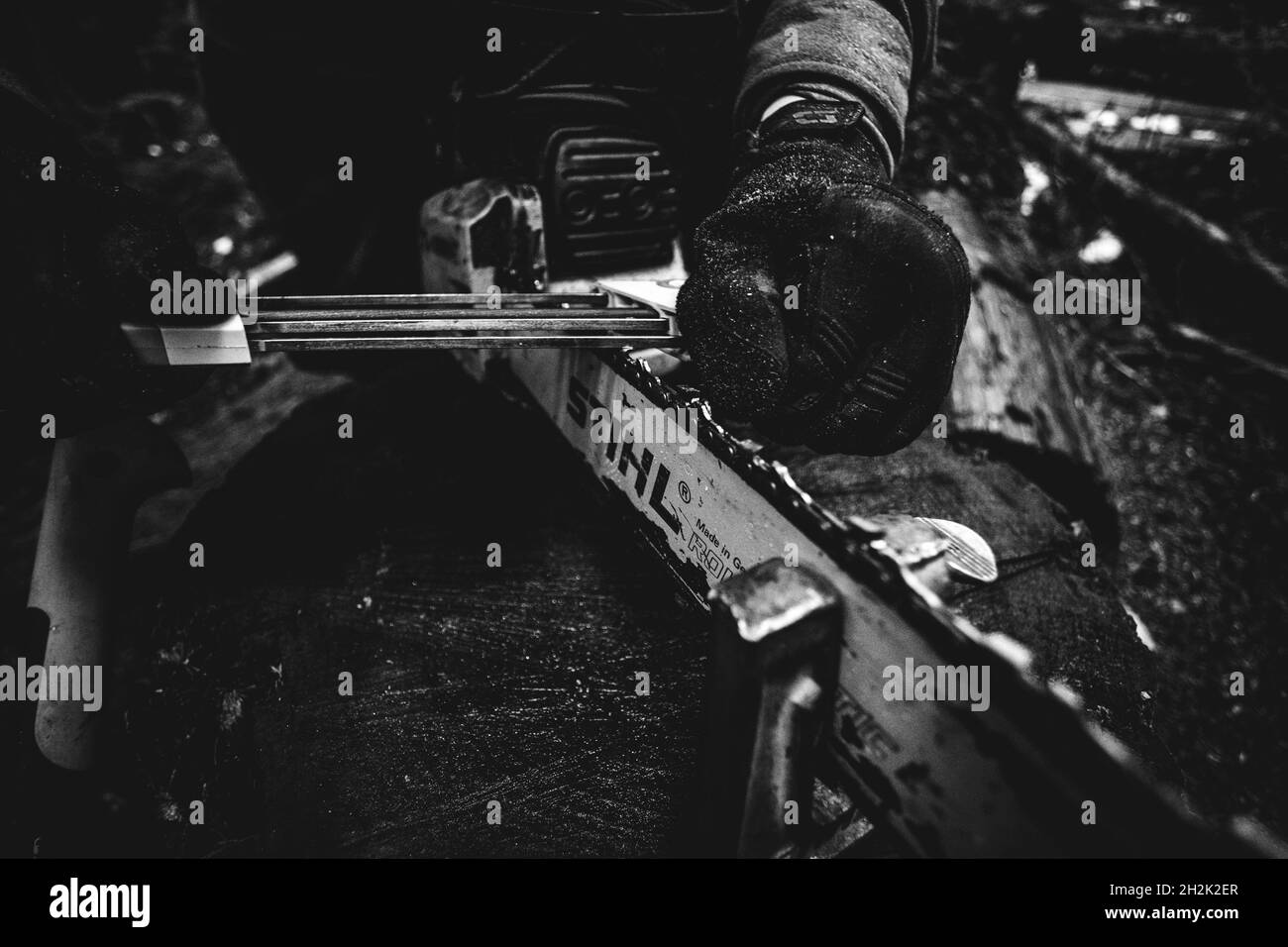 Chainsaw Blade Sharpening Stock Photo Alamy