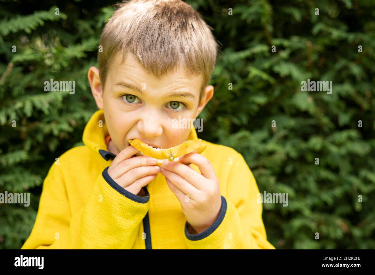 Kid eats a healthy and tropical snack Stock Photo